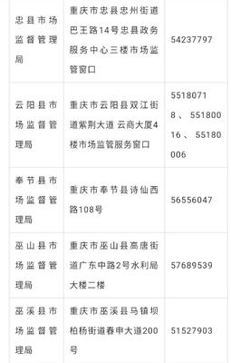 2月3日以来 重庆线上办理各类市场主体注册登记1000 余件